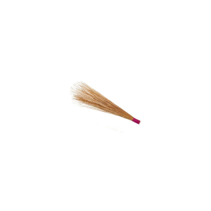 Generic - Hard Brooms - Coconut Broom